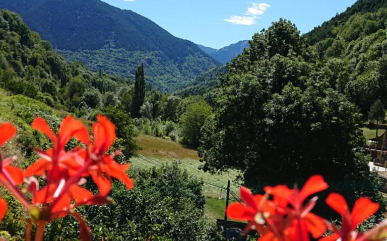 Alojamiento Rural Ostau Era Nheuada Aubert Bagian luar foto