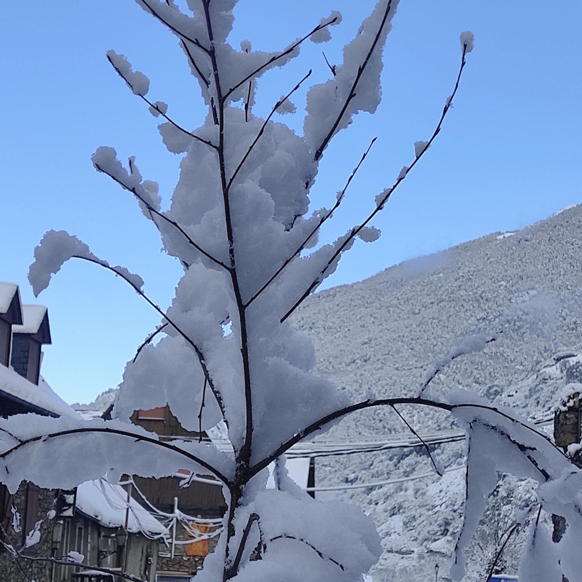 Alojamiento Rural Ostau Era Nheuada Aubert Bagian luar foto